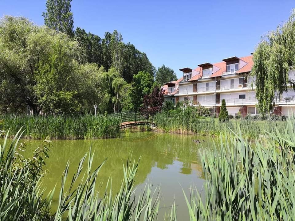 Apartament Csiriba